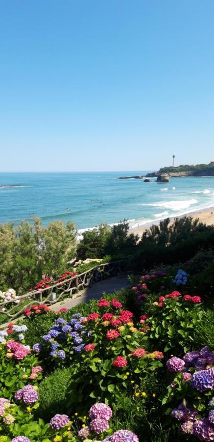 Dalhia Studio Centre Ville Biarritz Kültér fotó